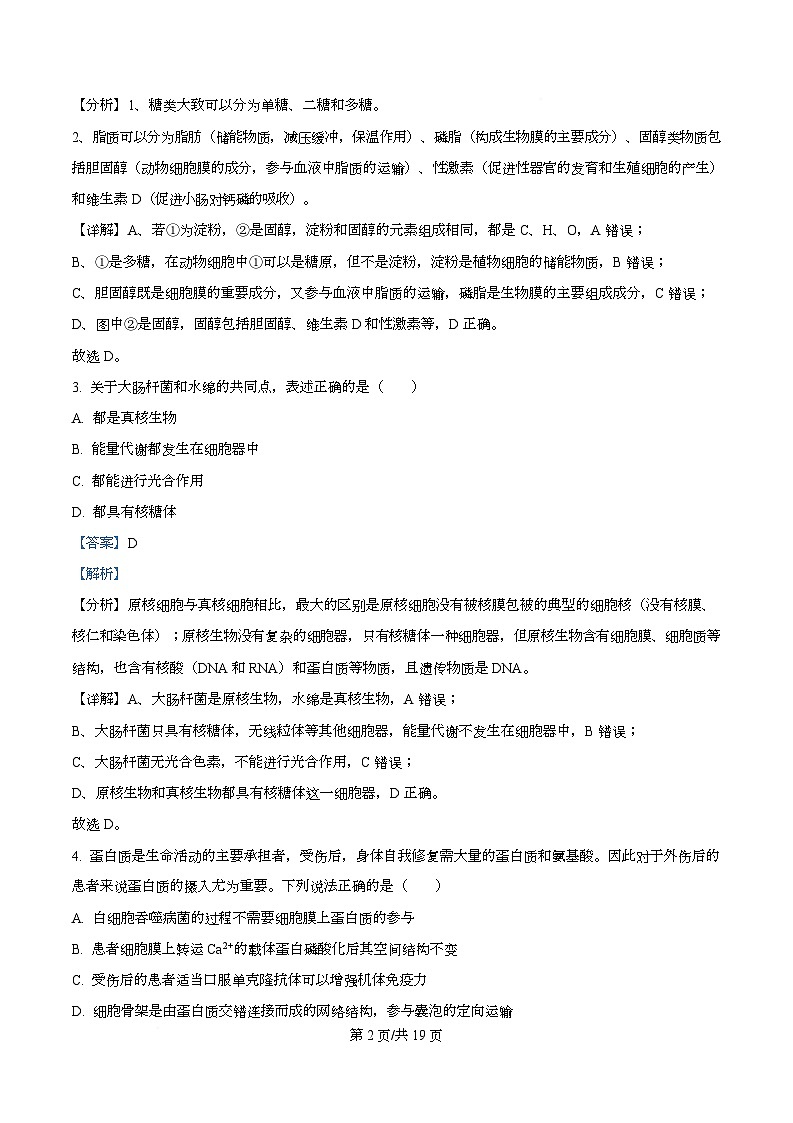 四川省泸州市合江县马街中学2026届高三一模生物试题 Word版含解析第2页