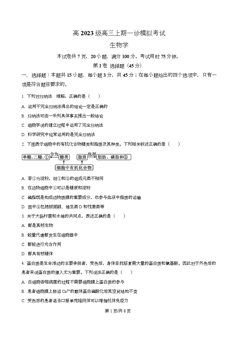 四川省泸州市合江县马街中学2026届高三一模生物试题（原卷版）第1页