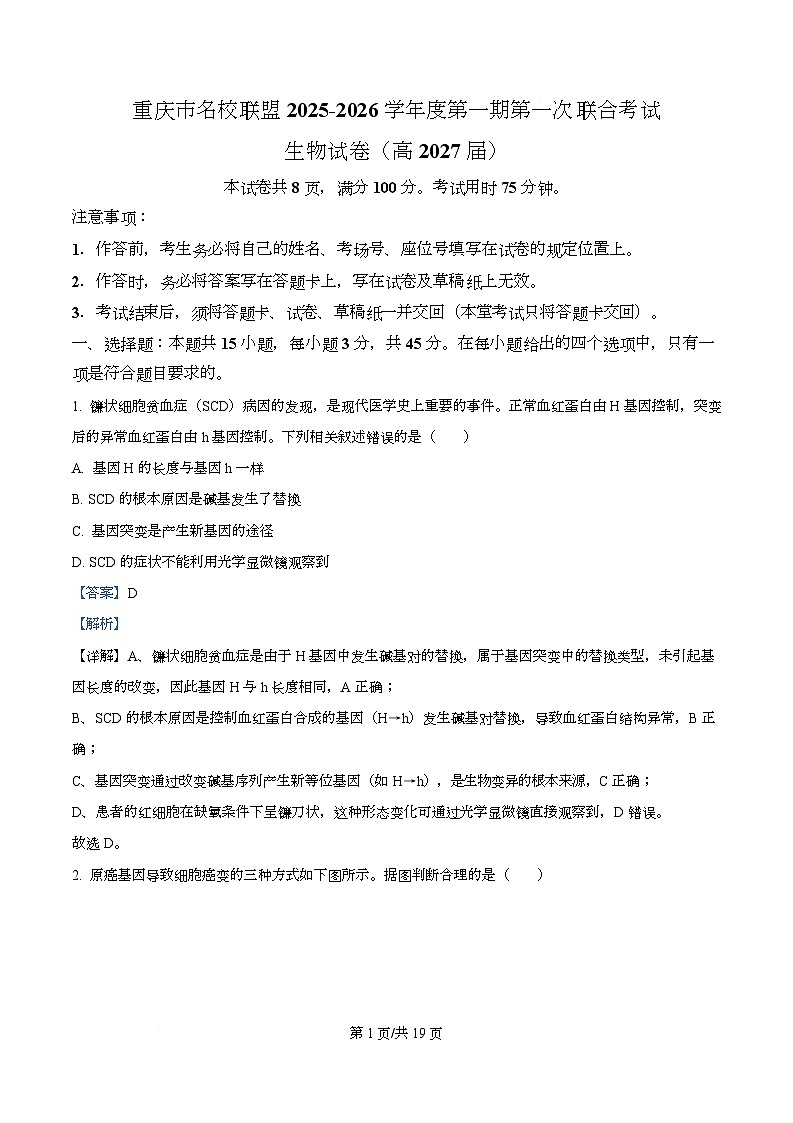 重庆市名校联盟2025-2026学年高二上学期中考试生物试题 Word版含解析第1页