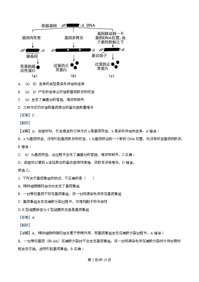 重庆市名校联盟2025-2026学年高二上学期中考试生物试题 Word版含解析第2页