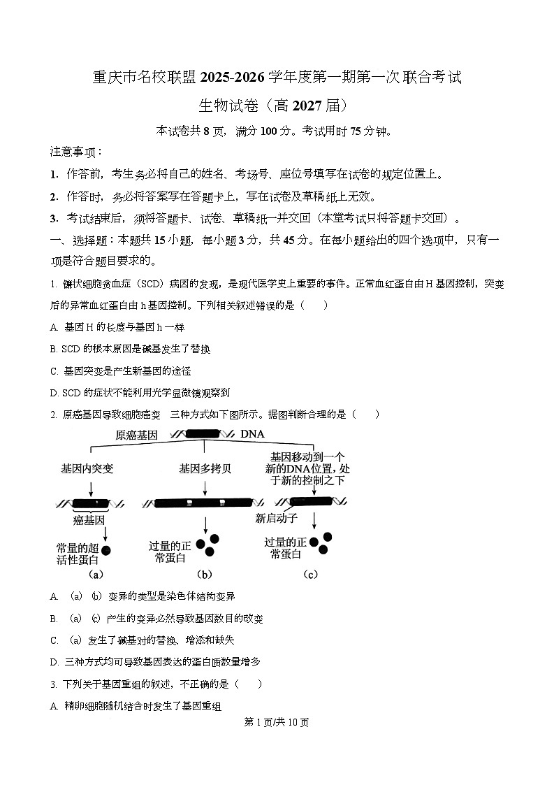 重庆市名校联盟2025-2026学年高二上学期中考试生物试题（原卷版）第1页