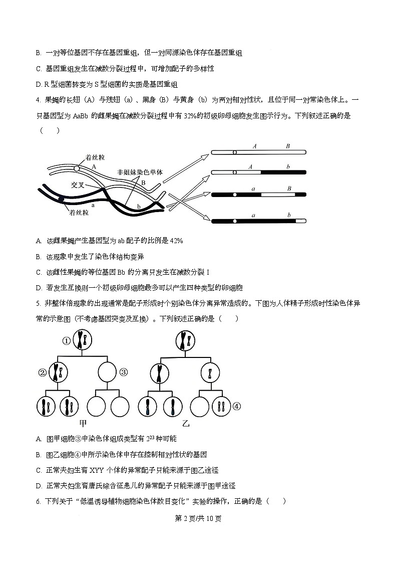 重庆市名校联盟2025-2026学年高二上学期中考试生物试题（原卷版）第2页