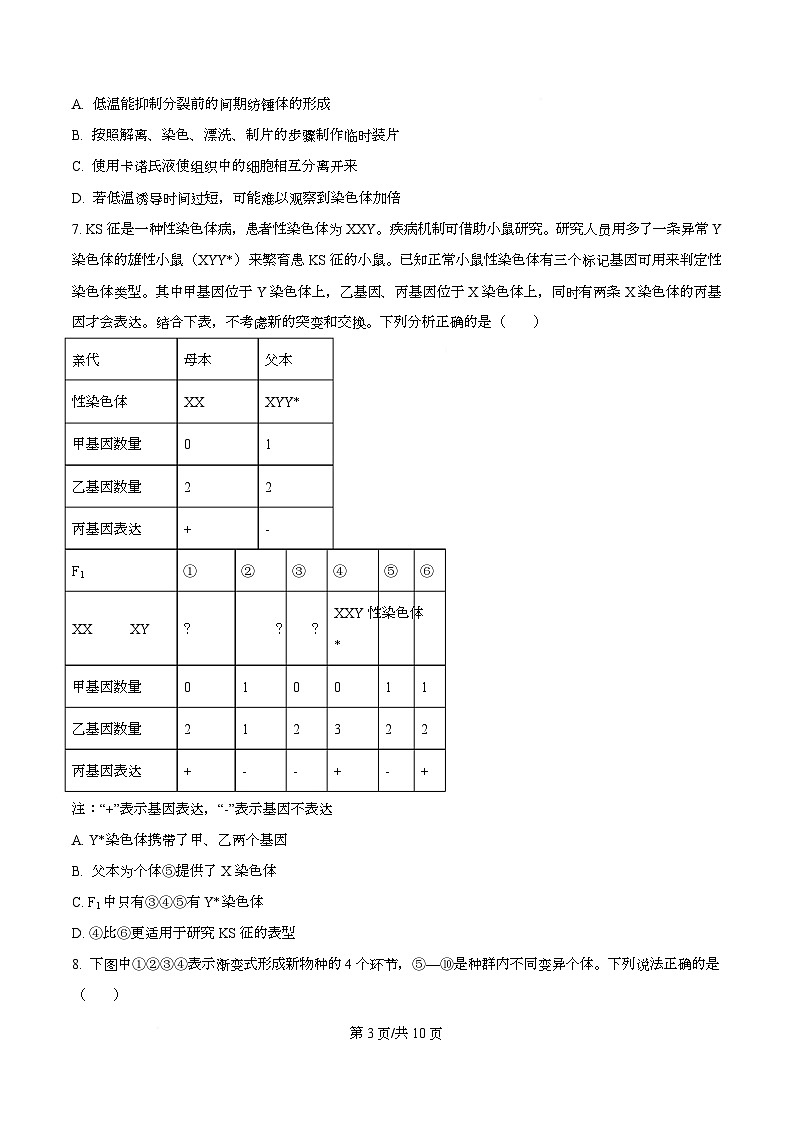 重庆市名校联盟2025-2026学年高二上学期中考试生物试题（原卷版）第3页