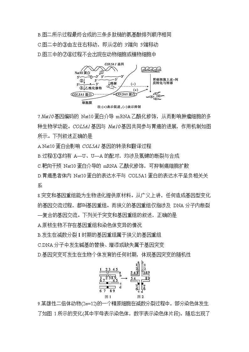 安徽省皖豫联考2025-2026学年高三上学期11月期中考试生物试卷第3页