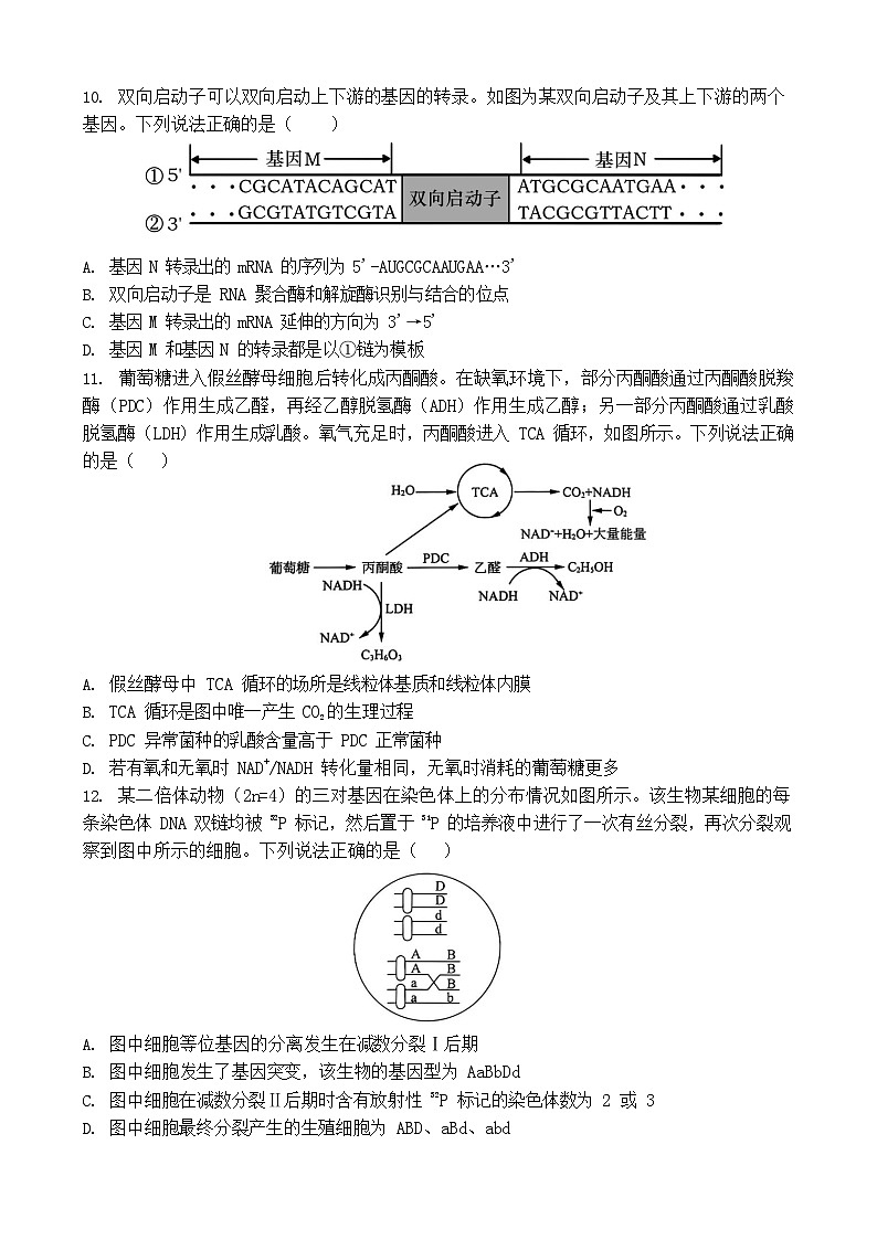 福建省福州第一中学2025-2026学年高三上学期11月期中考试生物试卷第3页