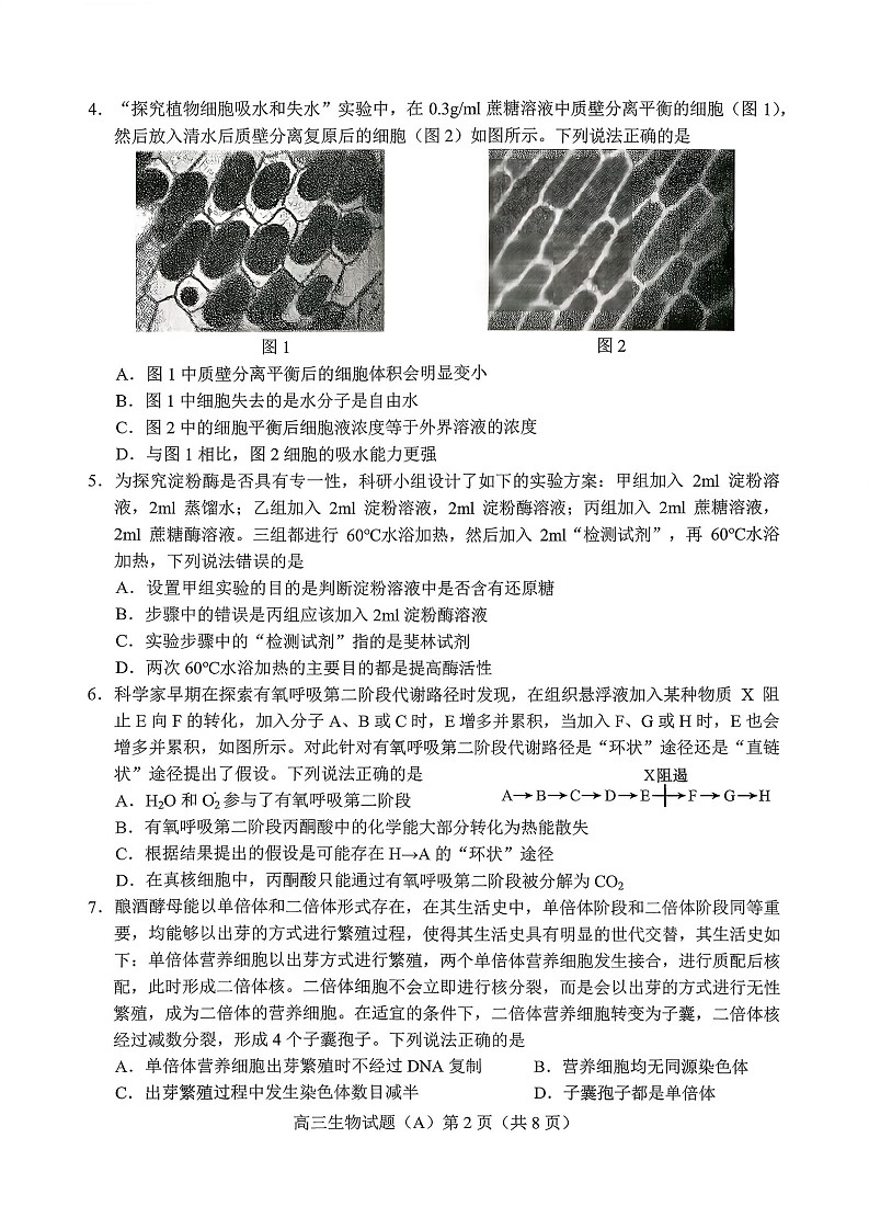 山东省菏泽市2025-2026学年高三上学期11月期中考试生物试卷第2页