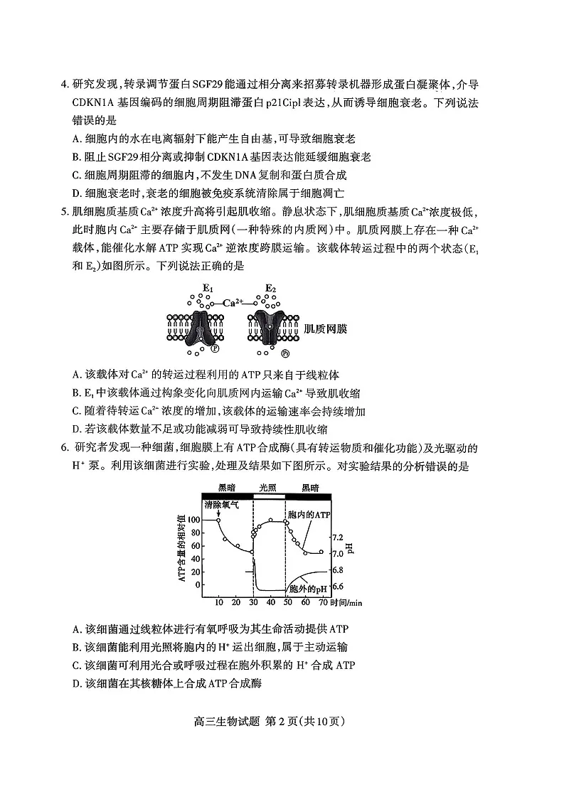 山东省泰安市2025-2026学年高三上学期11月期中考试生物试卷第2页