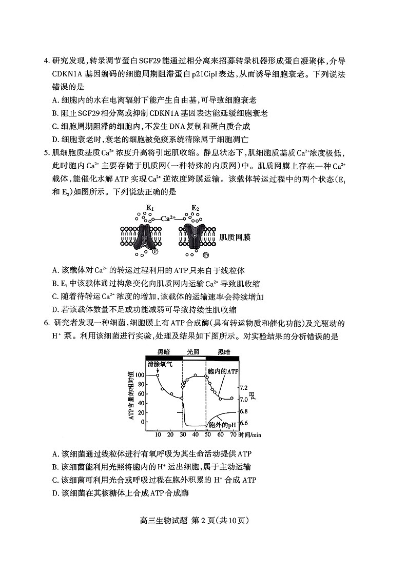 山东省泰安市2025-2026学年高三上学期11月期中考试生物试卷第2页
