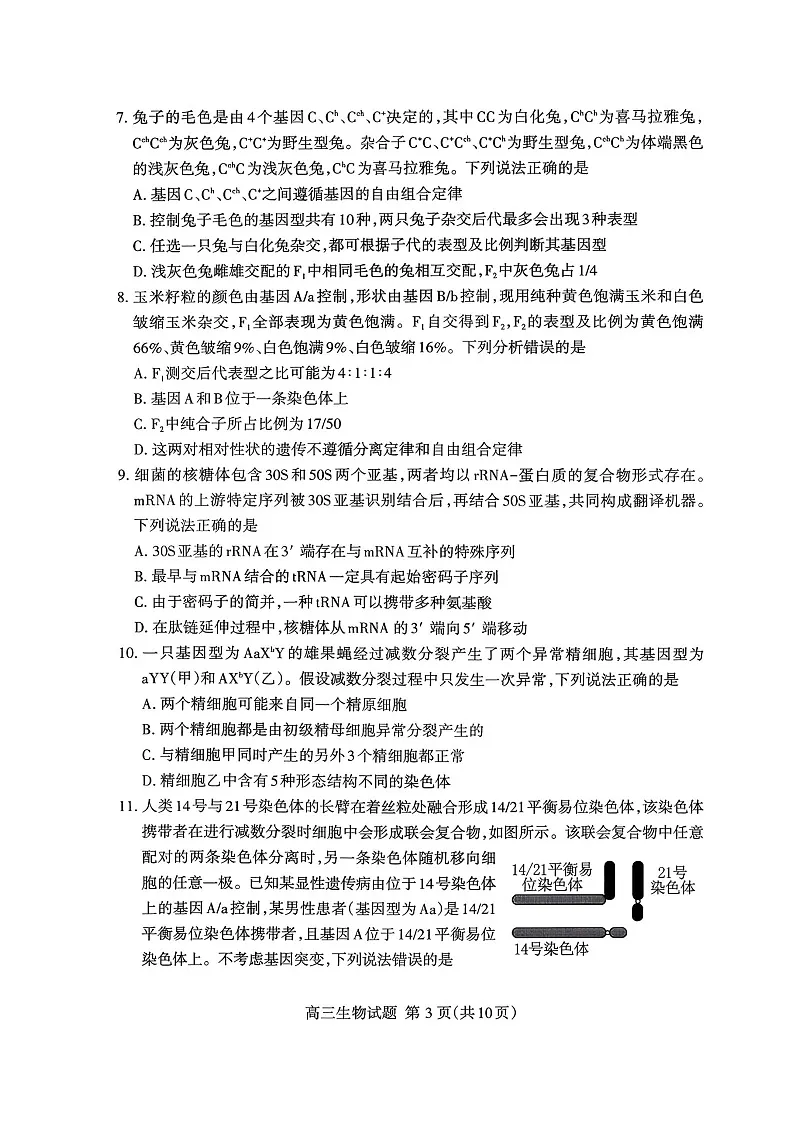 山东省泰安市2025-2026学年高三上学期11月期中考试生物试卷第3页
