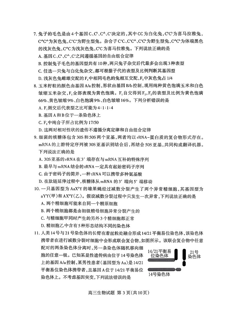 山东省泰安市2025-2026学年高三上学期11月期中考试生物试卷第3页