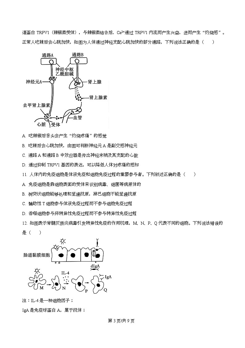 广东省四校2025-2026学年高二上学期11月期中联考生物学试题（原卷版）第3页