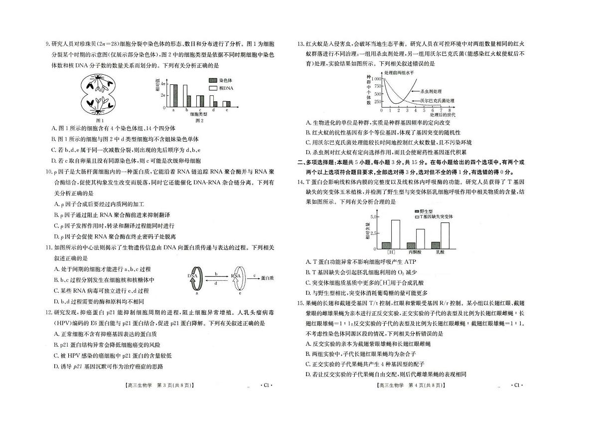 金太阳河北省2026届高三年级上学期十月份联考（26-75C）生物试卷（含答案）第2页
