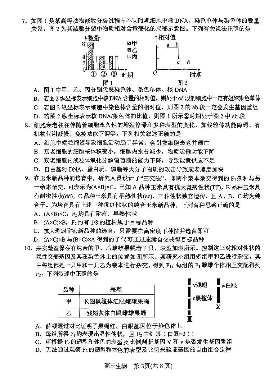 河南省南阳市2025-2026学年高三上学期期中质量评估生物试题（含答案）第3页