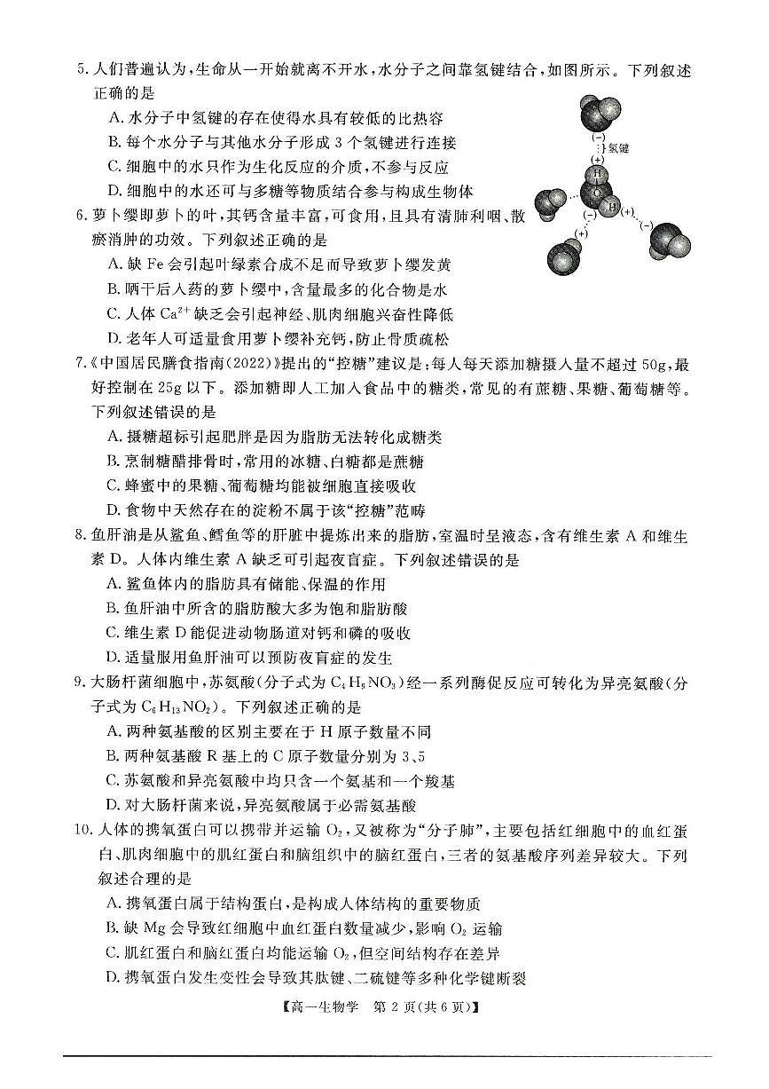 河南省新未来2025-2026学年高一上学期11月期中生物试题含答案第2页