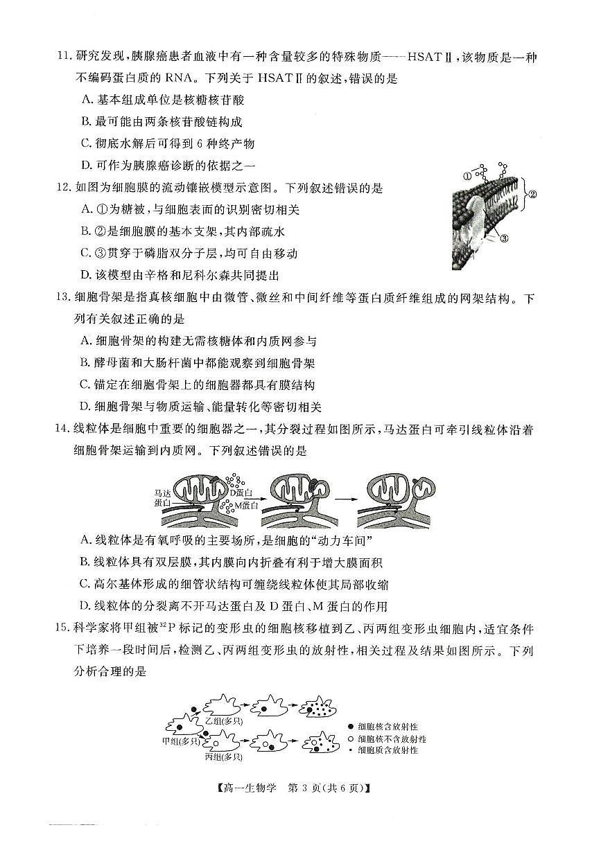 河南省新未来2025-2026学年高一上学期11月期中生物试题含答案第3页