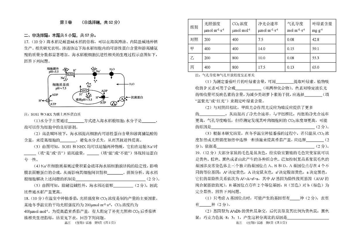 河南省郑州市第一中学2025-2026学年高三上学期期中生物试卷（含答案）第3页