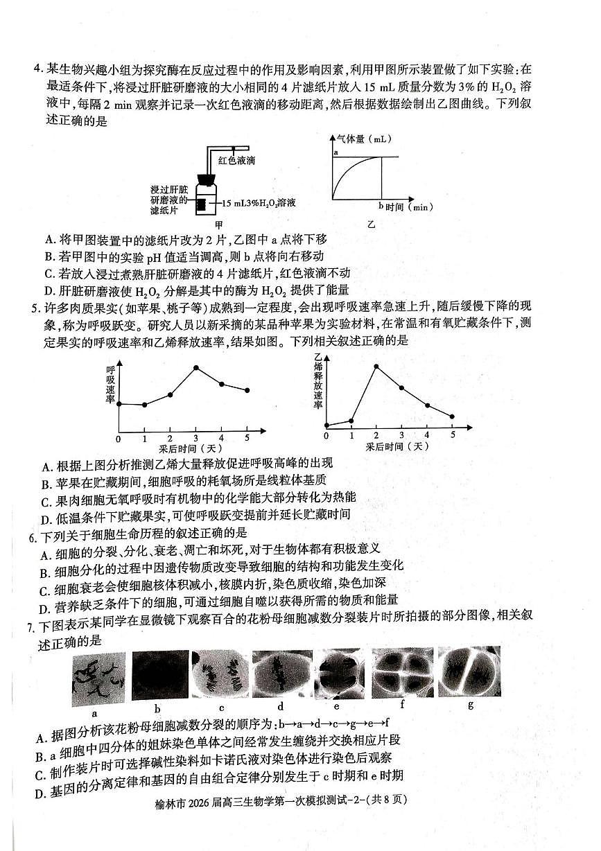 陕西省榆林市2026届高三上学期11月第一次模拟测试生物试卷（含解析）第2页