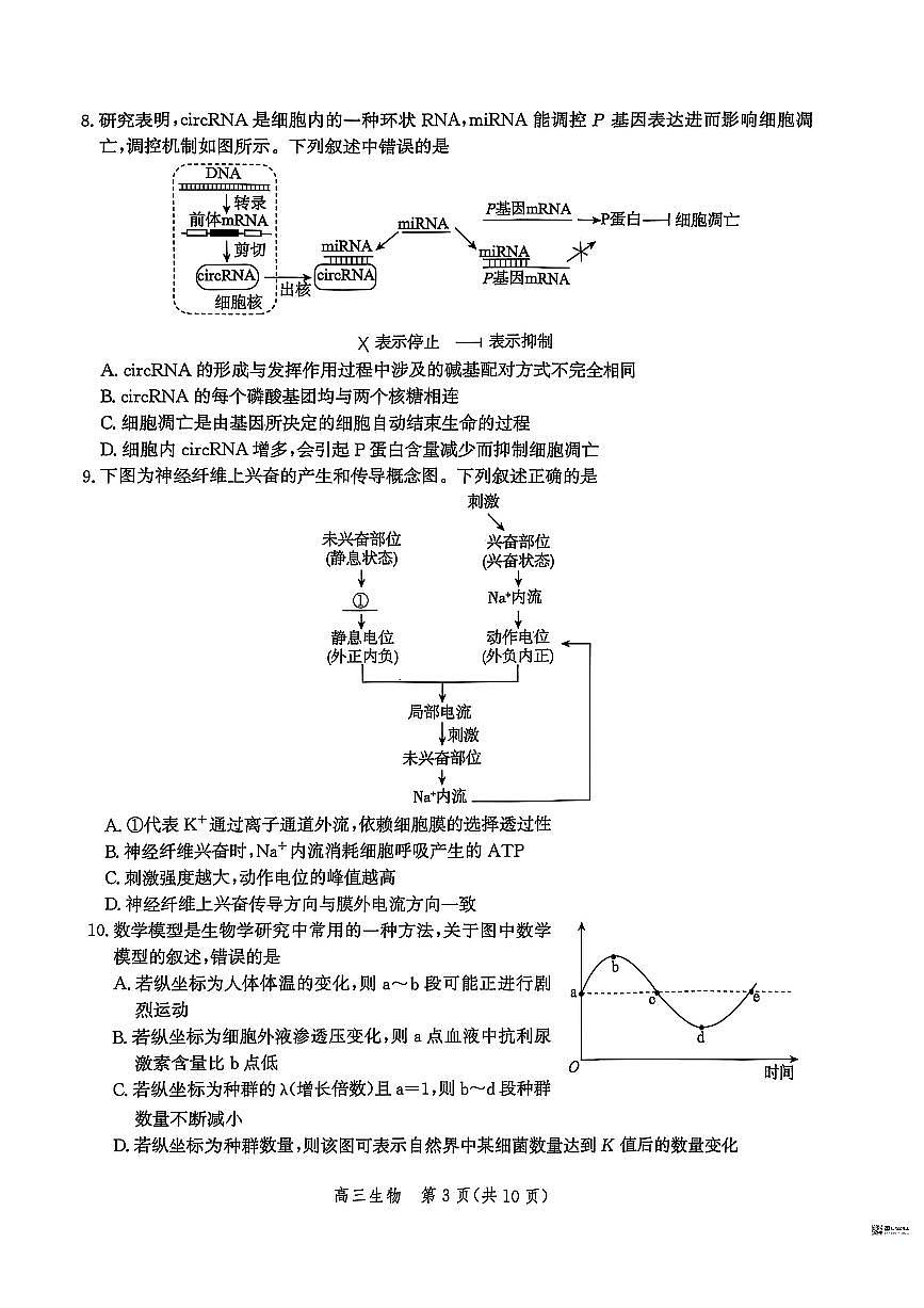 河北省沧衡名校联盟2026届高三上学期11月期中质量检测生物试题+答案第3页