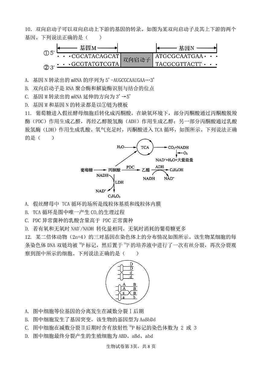 福建省福州第一中学2026届高三上学期11月期中考生物试题+答案第3页
