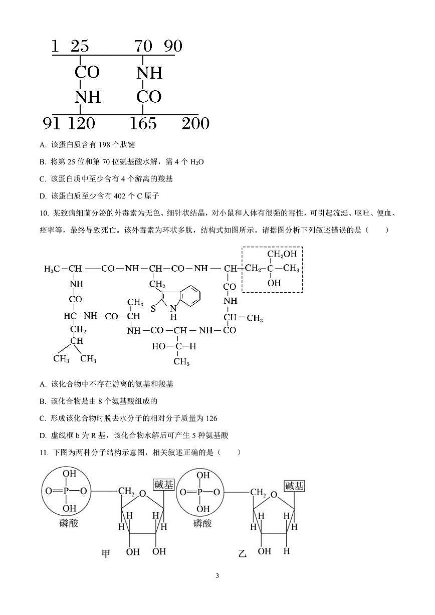福建省福州市福9联盟校2024-2025学年高一上学期11月期中生物试题含答案第3页