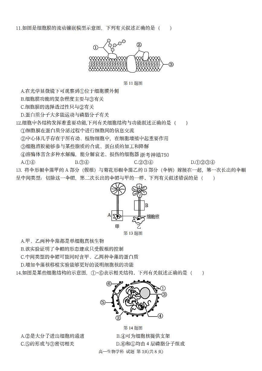 生物-浙江省浙南名校联盟2025-2026学年高一上学期期中试题及答案第3页