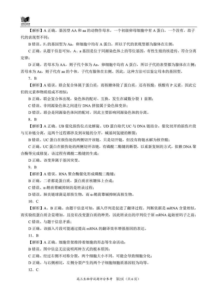 生物答案详解第2页