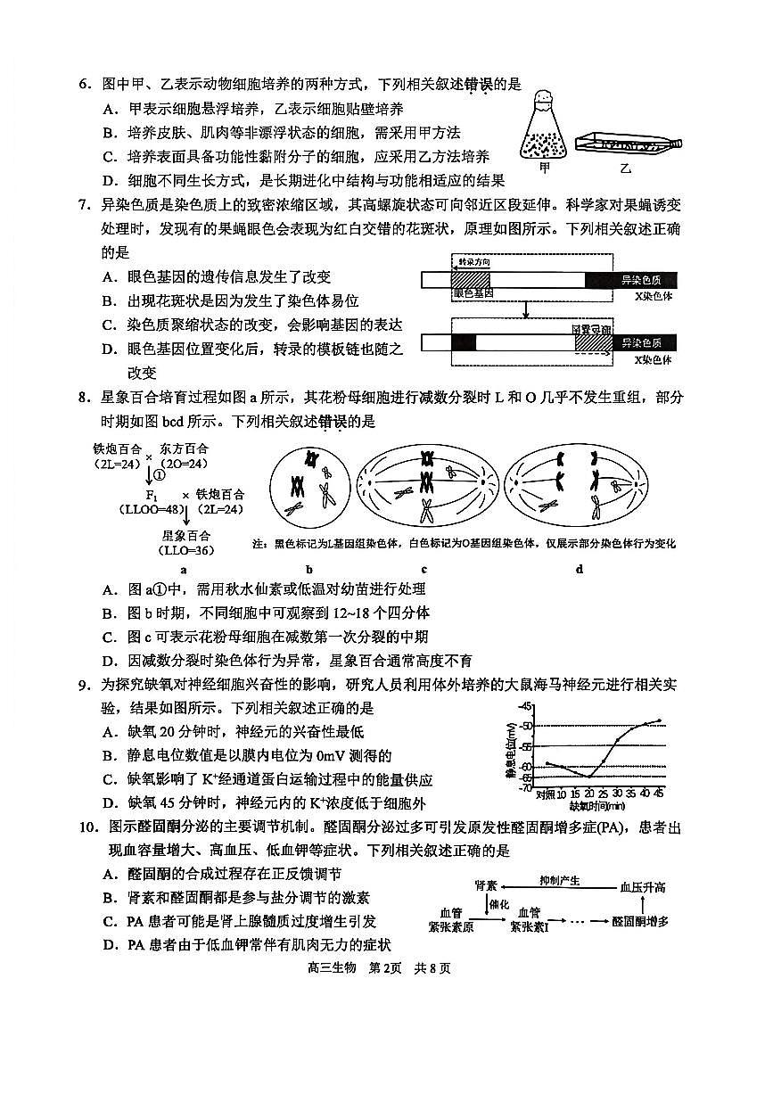 江苏省苏州市2025-2026学年高三上学期期中阳光调研生物试题（含答案）第2页