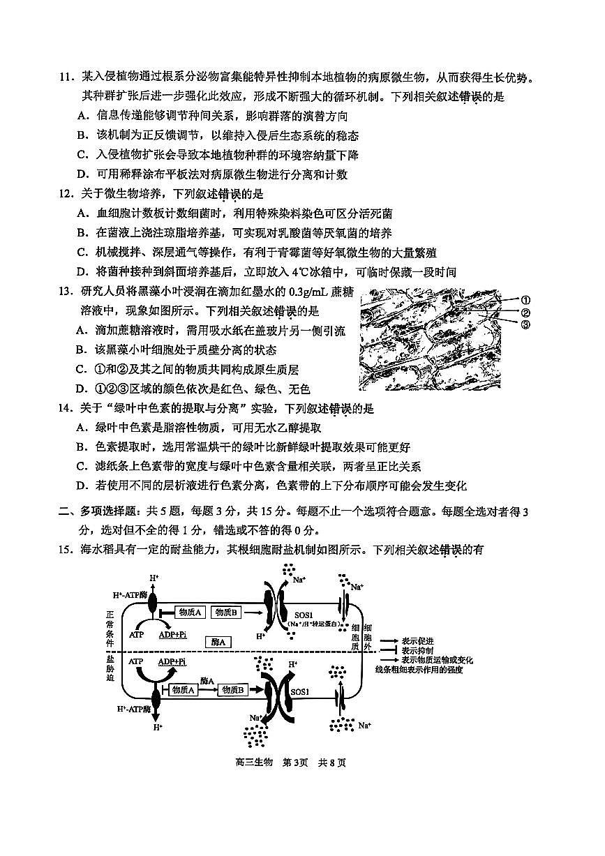 江苏省苏州市2025-2026学年高三上学期期中阳光调研生物试题（含答案）第3页
