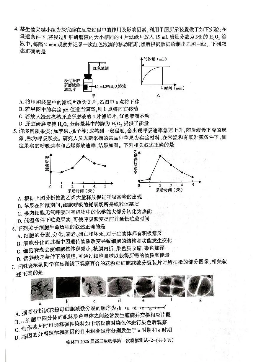 陕西省榆林市2026届高三上学期高考一模生物试卷（含解析）第2页