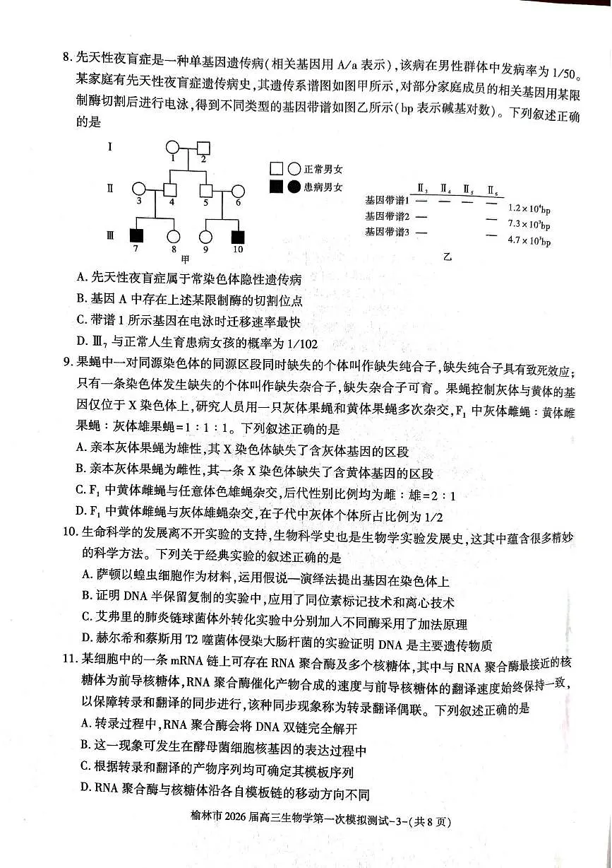 陕西省榆林市2026届高三上学期高考一模生物试卷（含解析）第3页