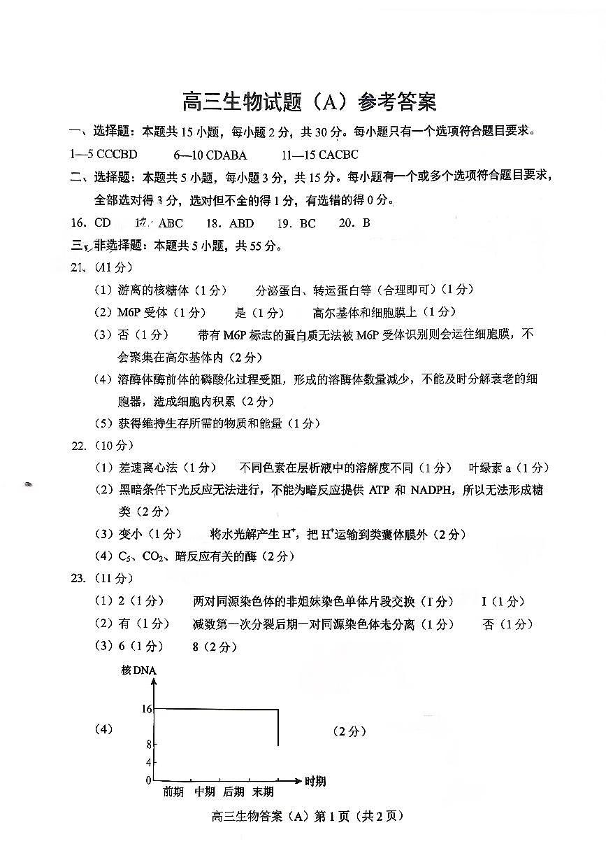 菏泽市A类高中2026届高三第一学期期中考试生物答案第1页