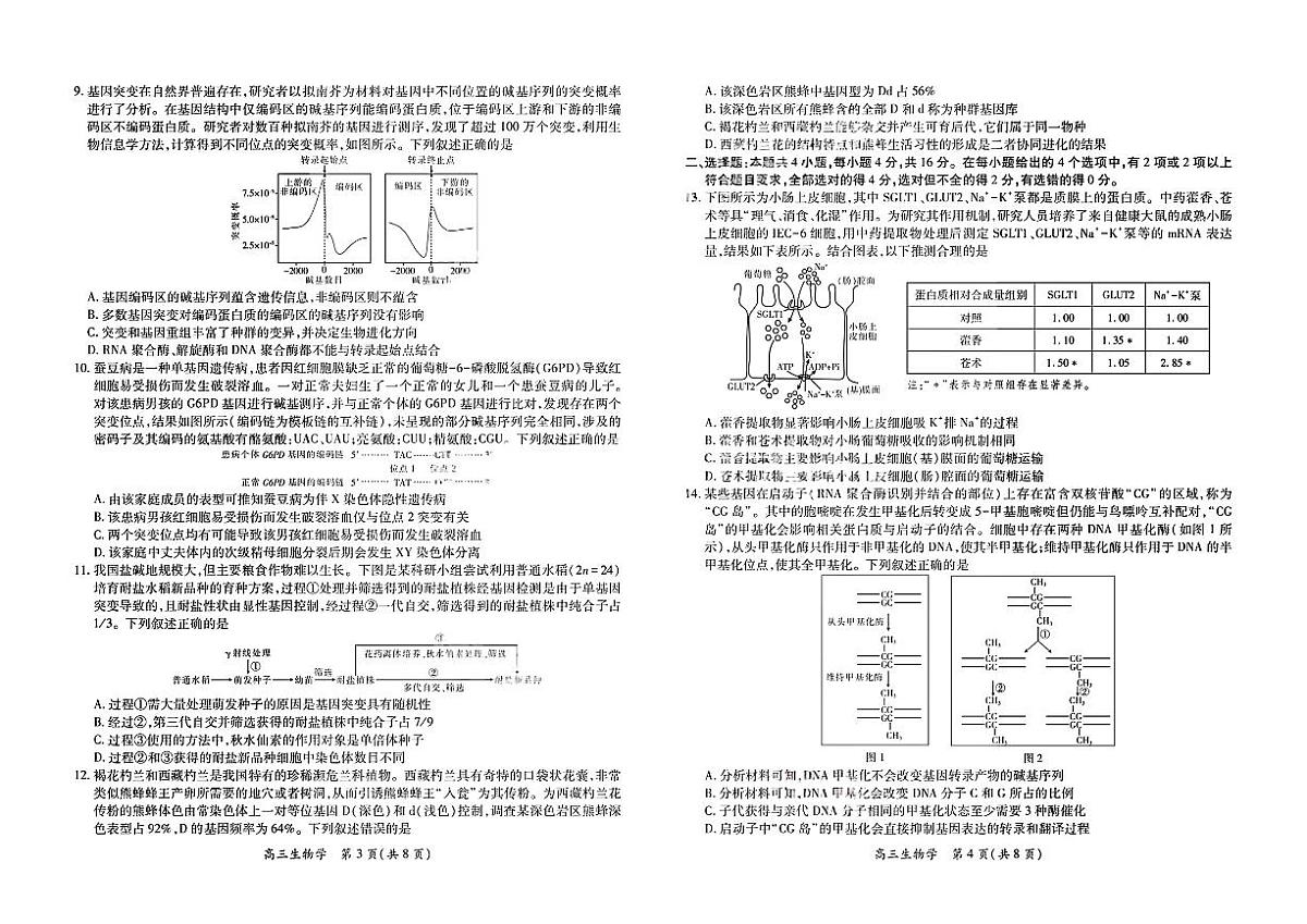 生物试卷- 江西省2026届上进稳派联考高三11月一轮复习阶段检测第2页