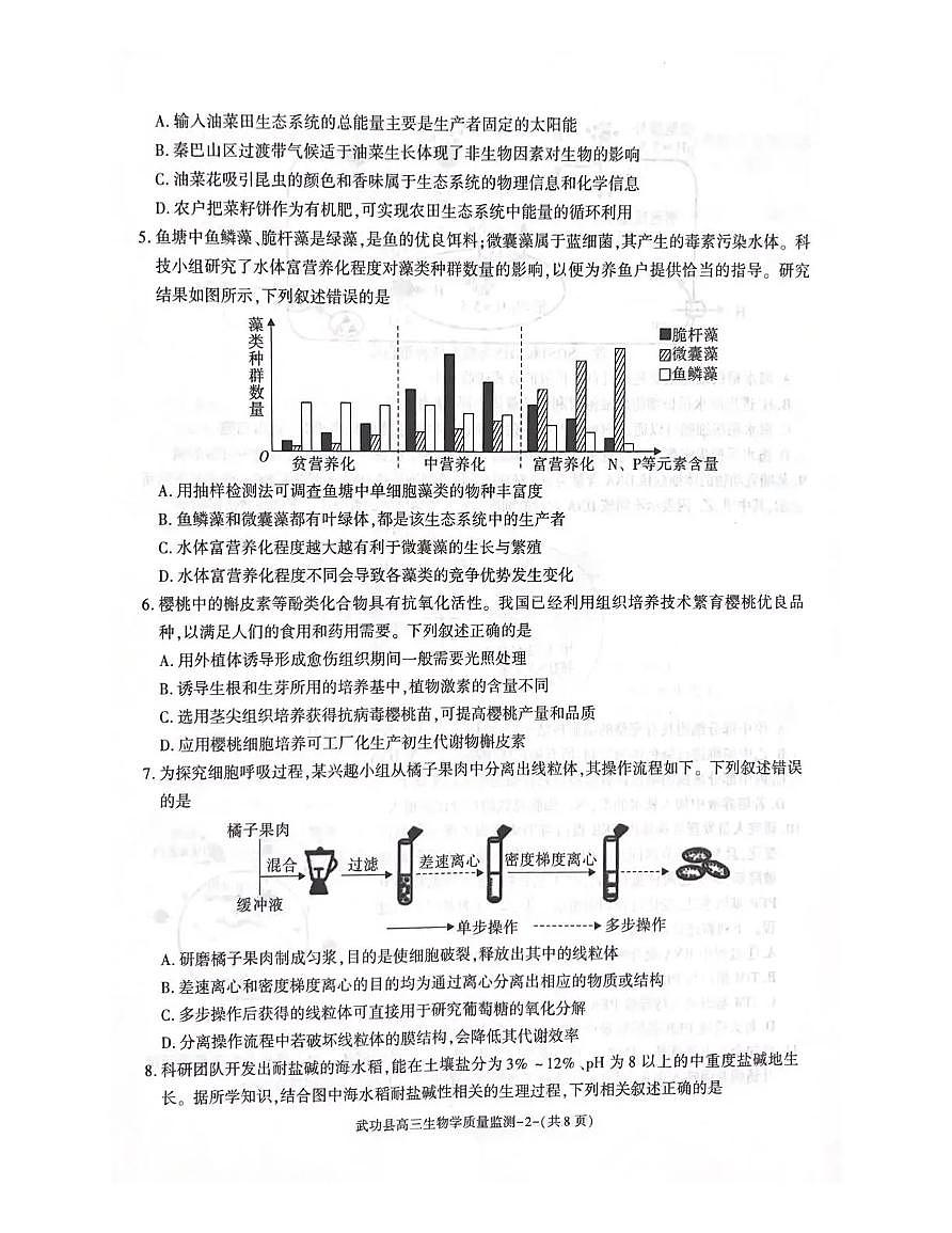 武功县2026届11月高三质量监测生物第2页