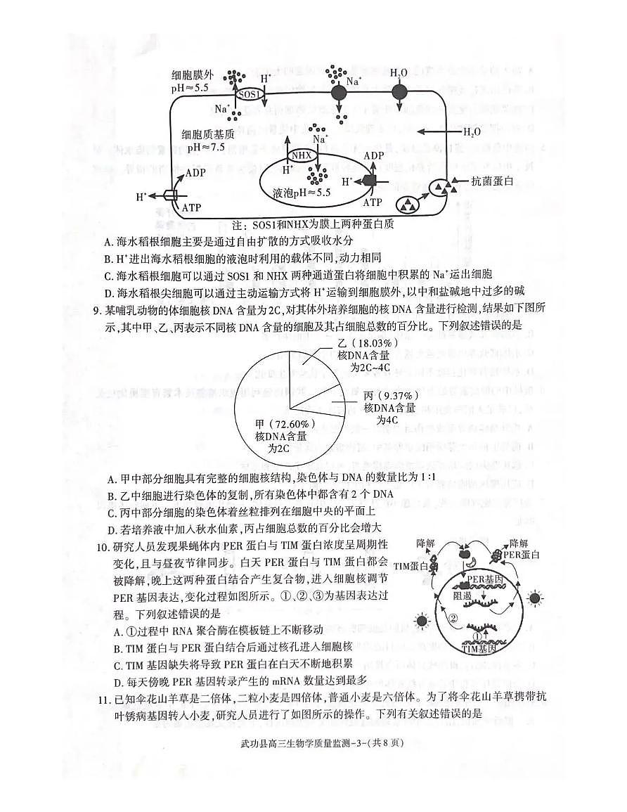 武功县2026届11月高三质量监测生物第3页