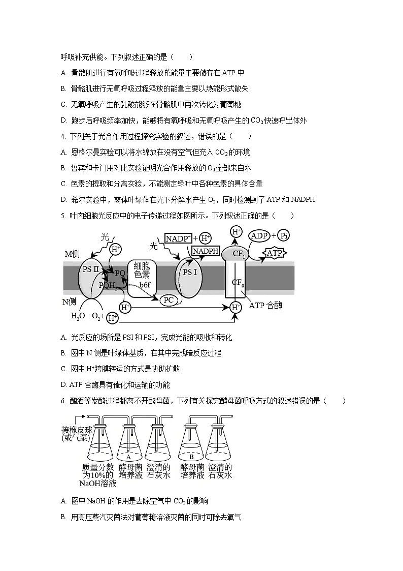 河北省保定市2025-2026学年高三上学期期中生物试卷（学生版）第2页