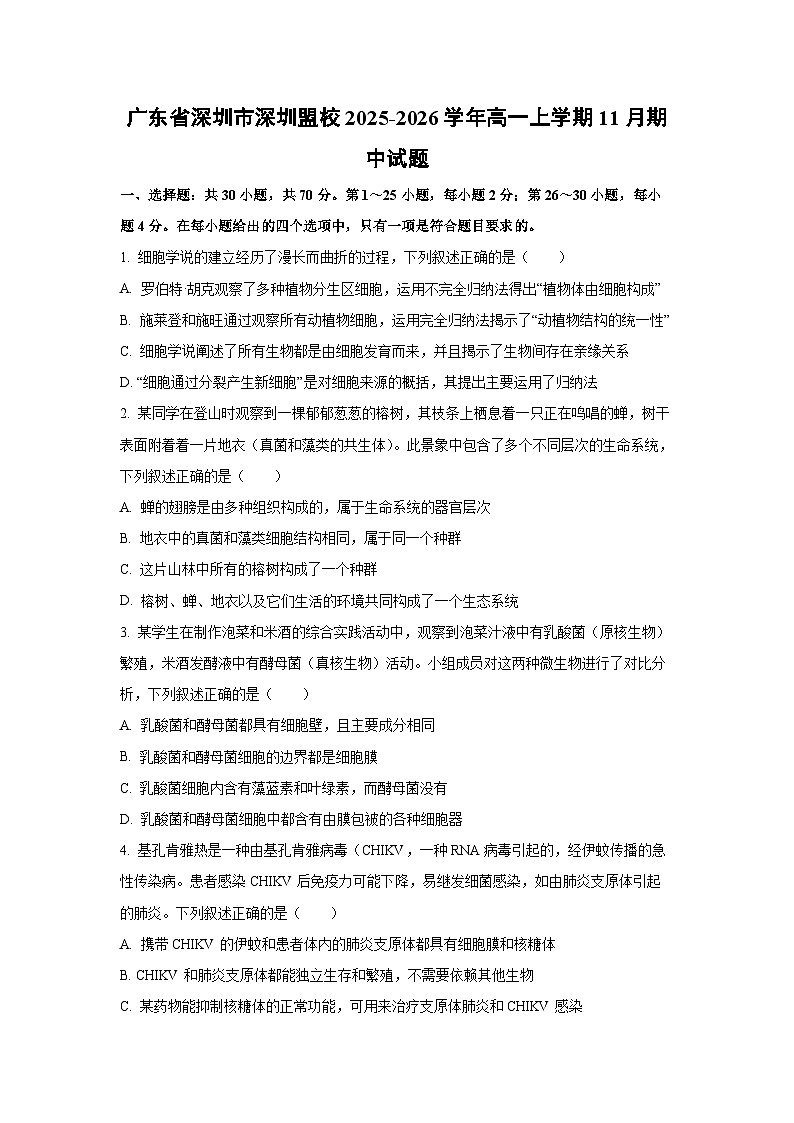广东省深圳市深圳盟校2025-2026学年高一上学期11月期中生物试卷（学生版）第1页