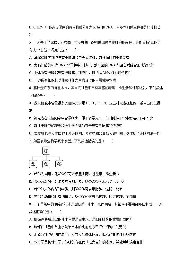 广东省深圳市深圳盟校2025-2026学年高一上学期11月期中生物试卷（学生版）第2页