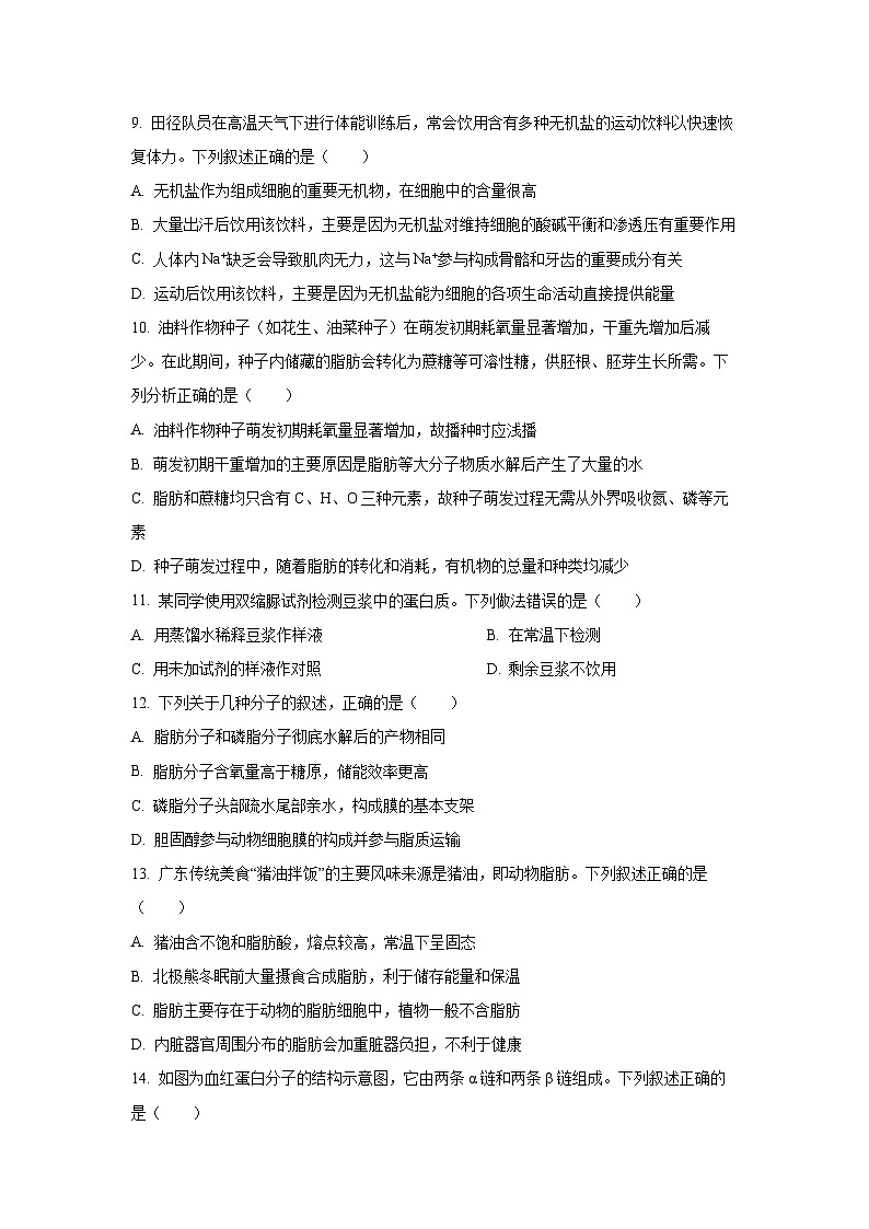 广东省深圳市深圳盟校2025-2026学年高一上学期11月期中生物试卷（学生版）第3页