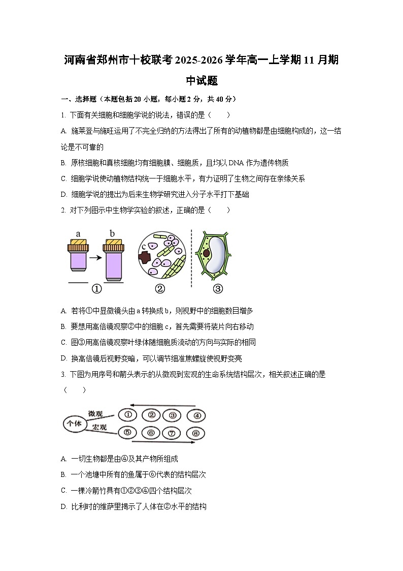河南省郑州市十校联考2025-2026学年高一上学期11月期中生物试卷（学生版）第1页