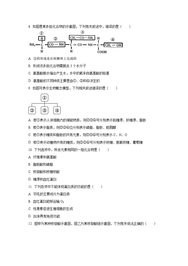 河南省郑州市十校联考2025-2026学年高一上学期11月期中生物试卷（学生版）第3页