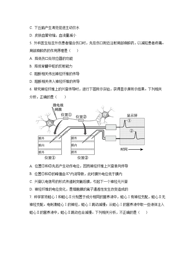 北京市丰台区2025-2026学年高二上学期期中生物试卷（学生版）第2页