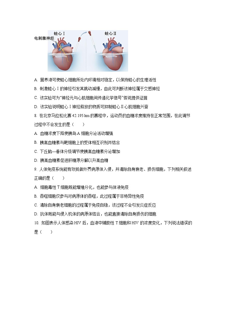北京市丰台区2025-2026学年高二上学期期中生物试卷（学生版）第3页