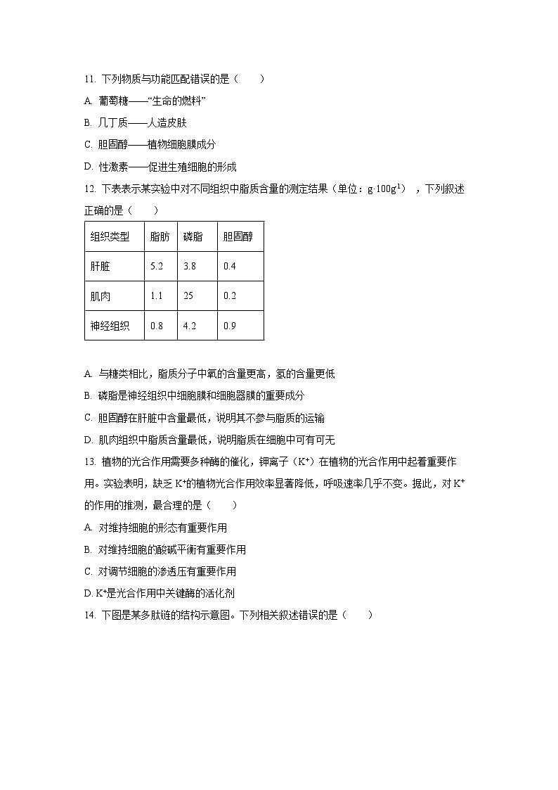 广东省佛山市十月联考2025-2026学年高一上学期10月月考生物试卷（学生版）第3页