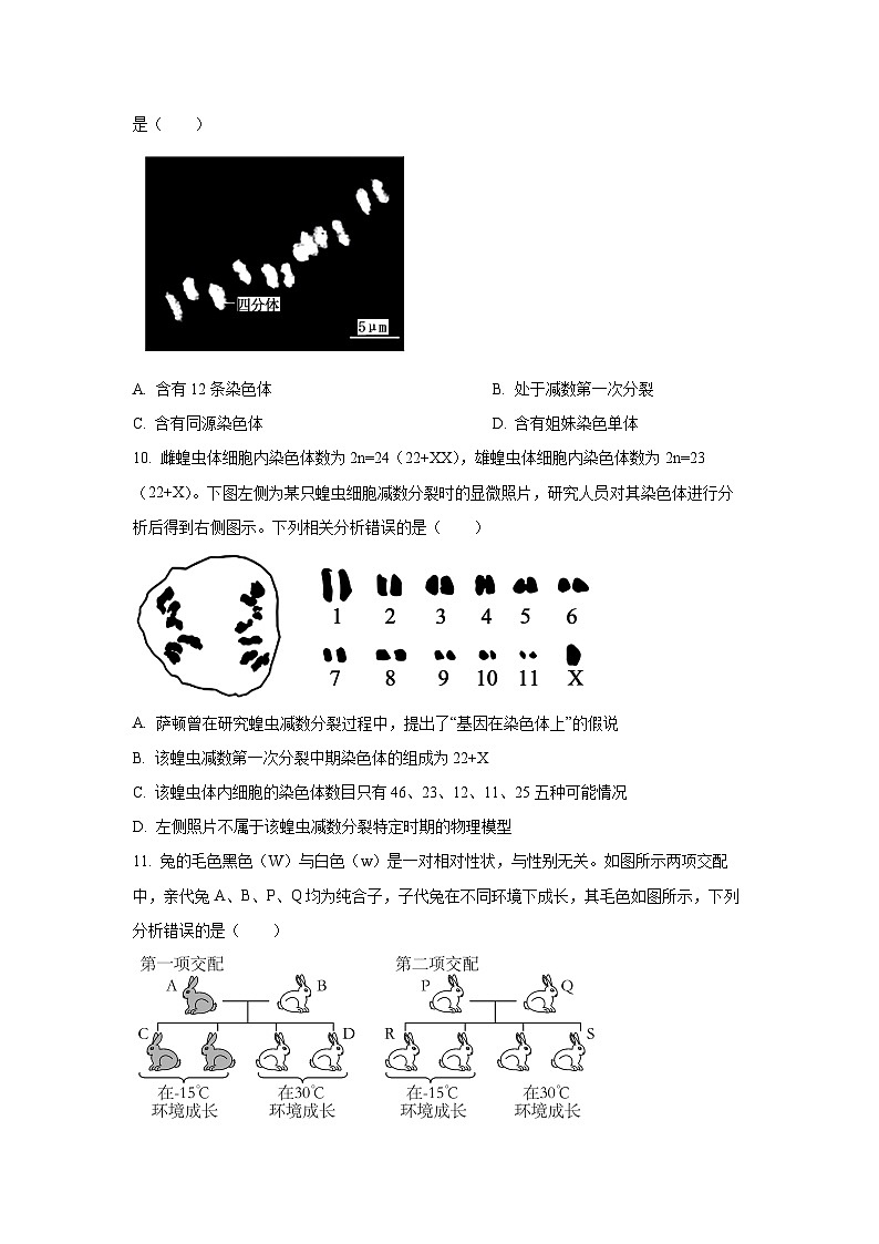 福建省三明市五县联盟2024—2025学年高一下学期期中考试生物试卷（学生版）第3页