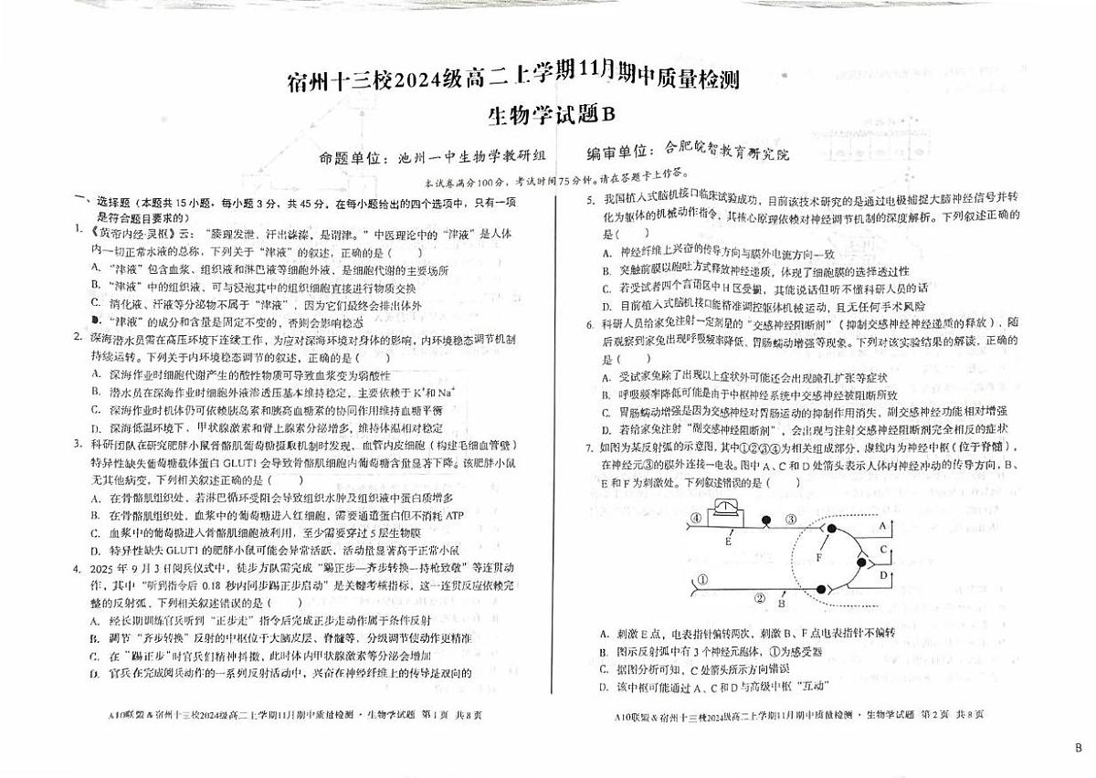 安徽省宿州十三校2025-2026学年高二上学期11月期中质量检测生物试题B第1页