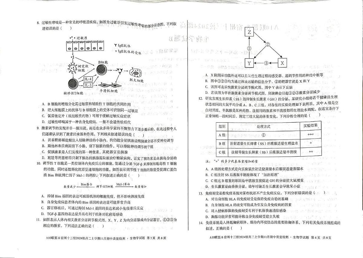 安徽省宿州十三校2025-2026学年高二上学期11月期中质量检测生物试题B第2页