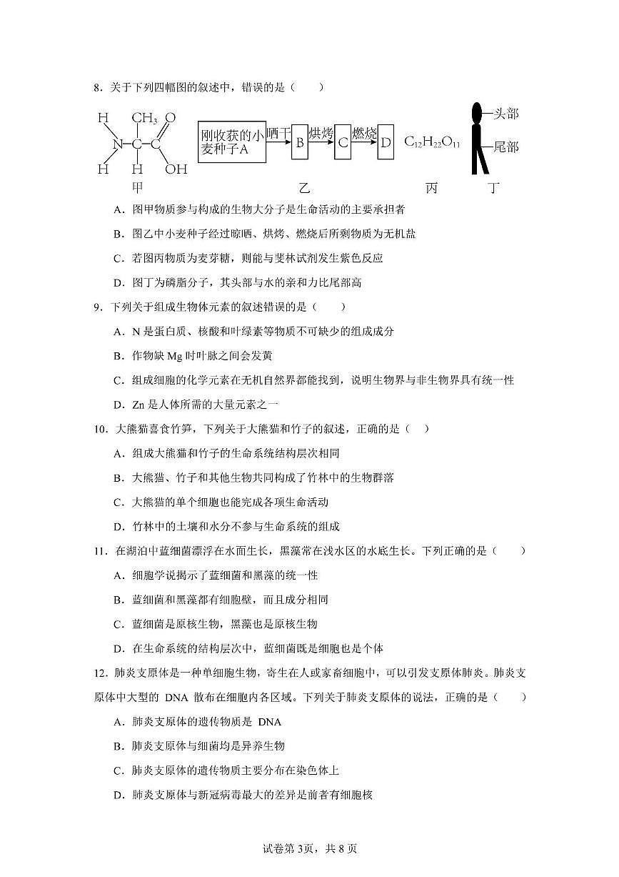 海南省海口二中2025-2026学年高一上学期期中考试生物试题第3页