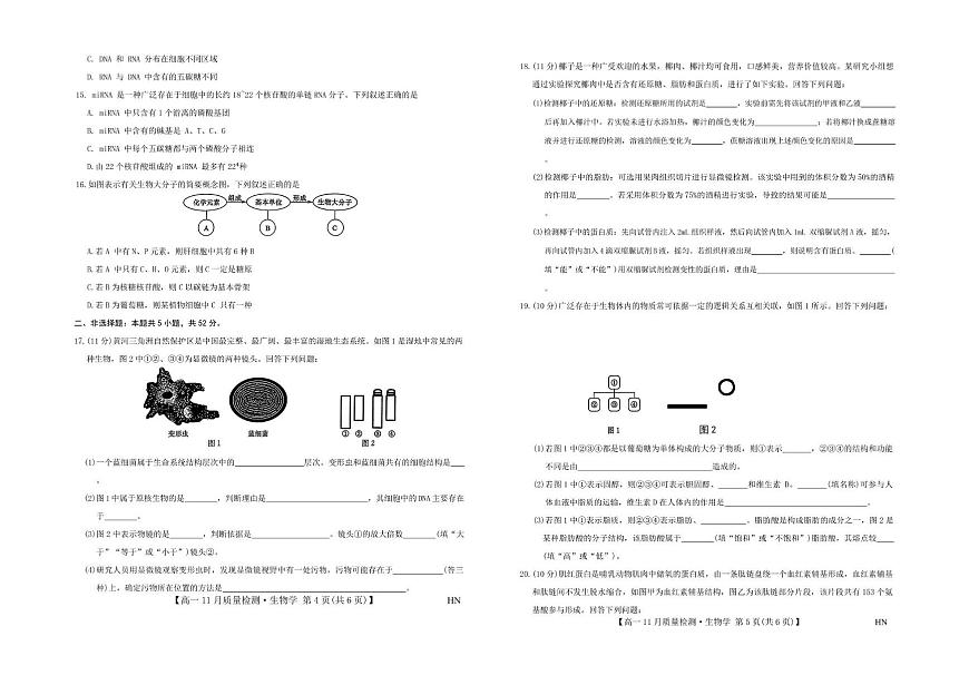 河南省商丘市2025-2026学年高一上学期11月期中质量检测生物试题第3页