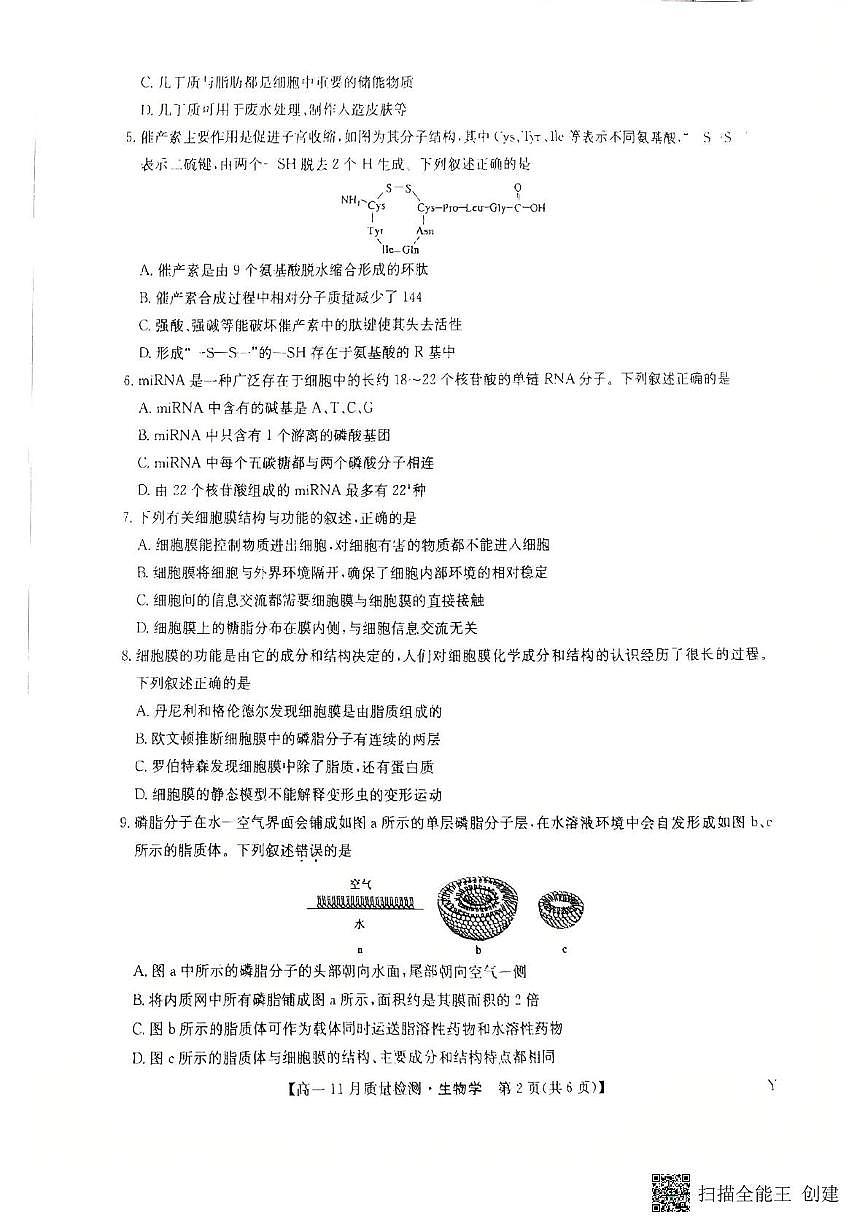 黑龙江省齐齐哈尔市部分学校2025-2026学年高一上学期11月期中生物试题第2页