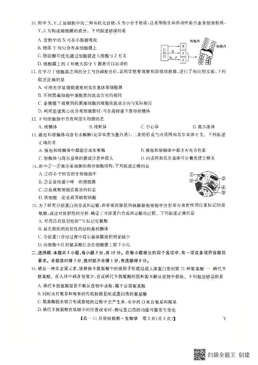 黑龙江省齐齐哈尔市部分学校2025-2026学年高一上学期11月期中生物试题第3页